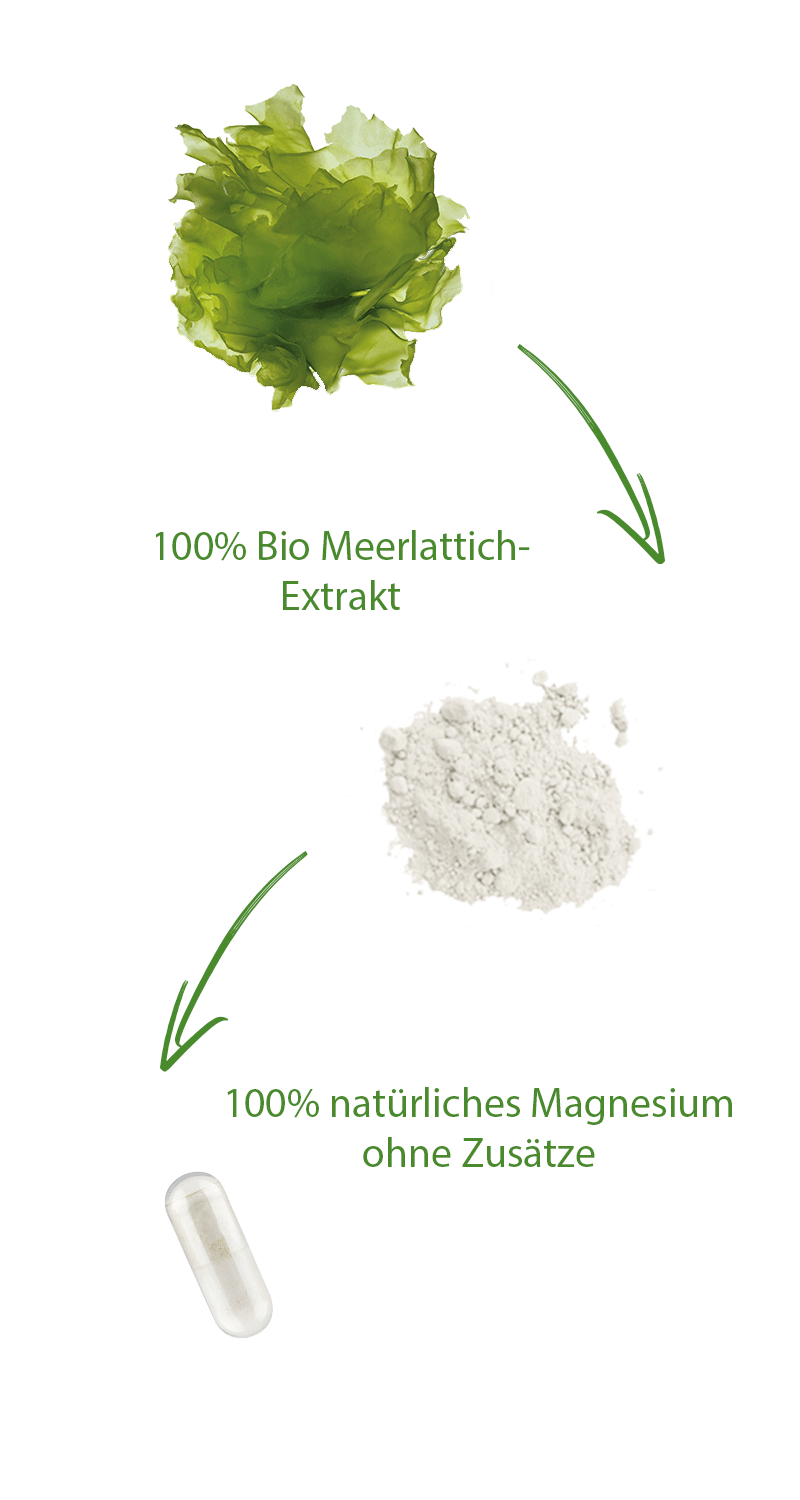 bio-meerlattich-magnesium