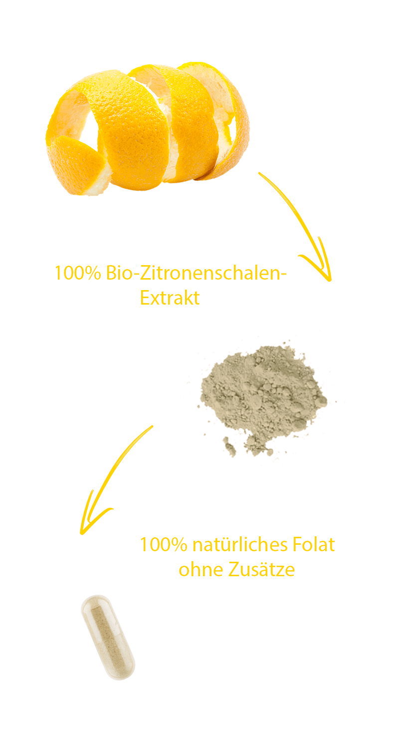 folsaeure-folat-bio-natuerlich