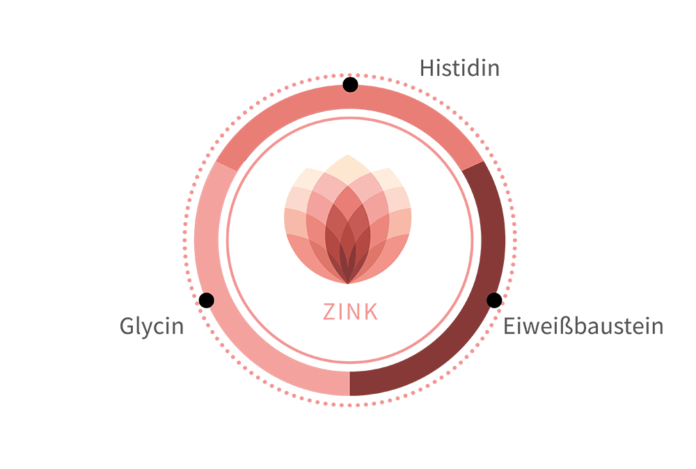 zink-natuerlicher-komplex