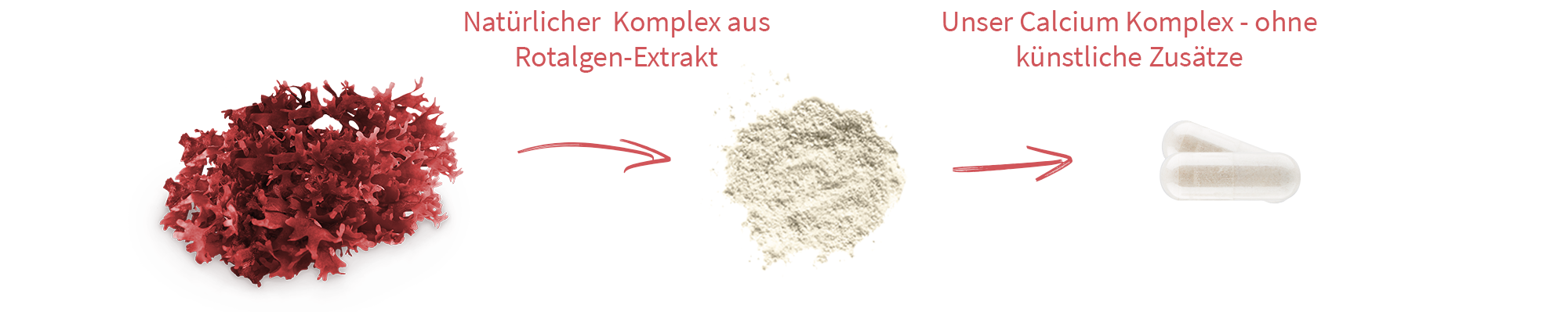 rotalgen-extrakt-calcium-kapseln