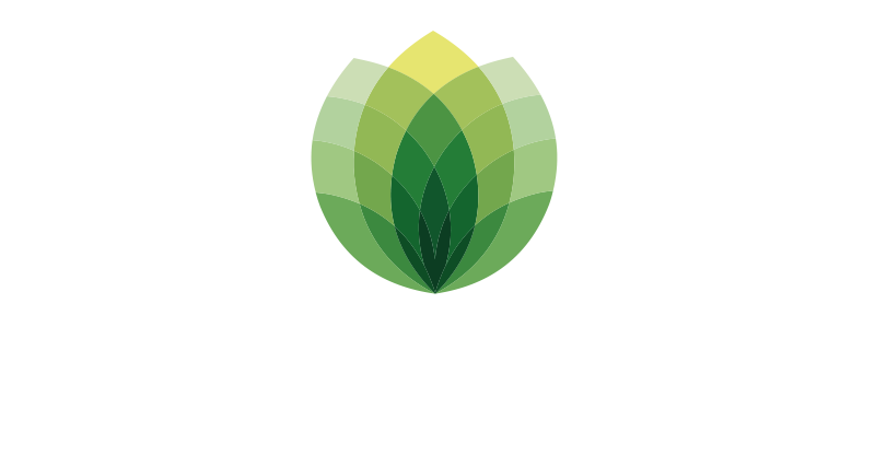 phytholistic-ganz-natuerlich-gesund